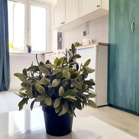 Orlowskie Iii Apartment *
